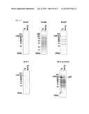 Antibodies That Specifically Bind to A Beta Oligomers and Use Thereof diagram and image