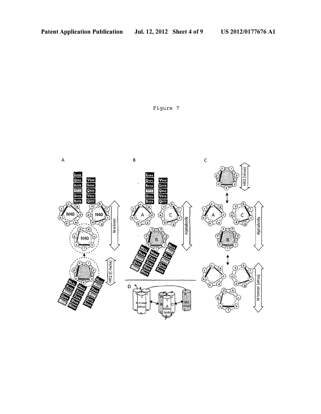 ALPHABODIES FOR HIV ENTRY INHIBITION - diagram, schematic, and image 05