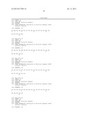 PEPTIDE VACCINES AGAINST GROUP A STREPTOCOCCI diagram and image