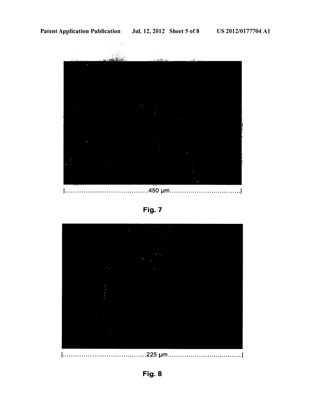 CRYSTALLINE ANTI-HUMAN IL-12 ANTIBODIES - diagram, schematic, and image 06