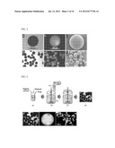 DRUG DELIVERY FORMULATION FOR CONTROLLING OF INITIAL BURST AND     MANUFACTURING METHOD THEREOF diagram and image