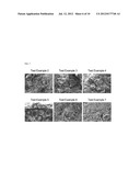 DRUG DELIVERY FORMULATION FOR CONTROLLING OF INITIAL BURST AND     MANUFACTURING METHOD THEREOF diagram and image