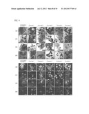 DRUG DELIVERY FORMULATION FOR CONTROLLING OF INITIAL BURST AND     MANUFACTURING METHOD THEREOF diagram and image