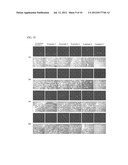 DRUG DELIVERY FORMULATION FOR CONTROLLING OF INITIAL BURST AND     MANUFACTURING METHOD THEREOF diagram and image