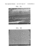 CATALYST COATED MEMBRANE FOR FUEL CELL, MEMBRANE AND ELECTRODE ASSEMBLY     (MEA) INCLUDING SAME, METHOD OF MANUFACTURING THE MEA, AND FUEL CELL     INCLUDING THE MEA diagram and image