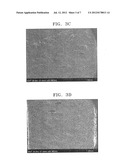 CATALYST COATED MEMBRANE FOR FUEL CELL, MEMBRANE AND ELECTRODE ASSEMBLY     (MEA) INCLUDING SAME, METHOD OF MANUFACTURING THE MEA, AND FUEL CELL     INCLUDING THE MEA diagram and image
