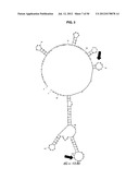 Methods and Compositions for Nucleic Acid Detection diagram and image