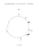 Methods and Compositions for Nucleic Acid Detection diagram and image