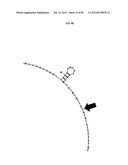 Methods and Compositions for Nucleic Acid Detection diagram and image