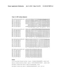 Methods and Compositions for Nucleic Acid Detection diagram and image