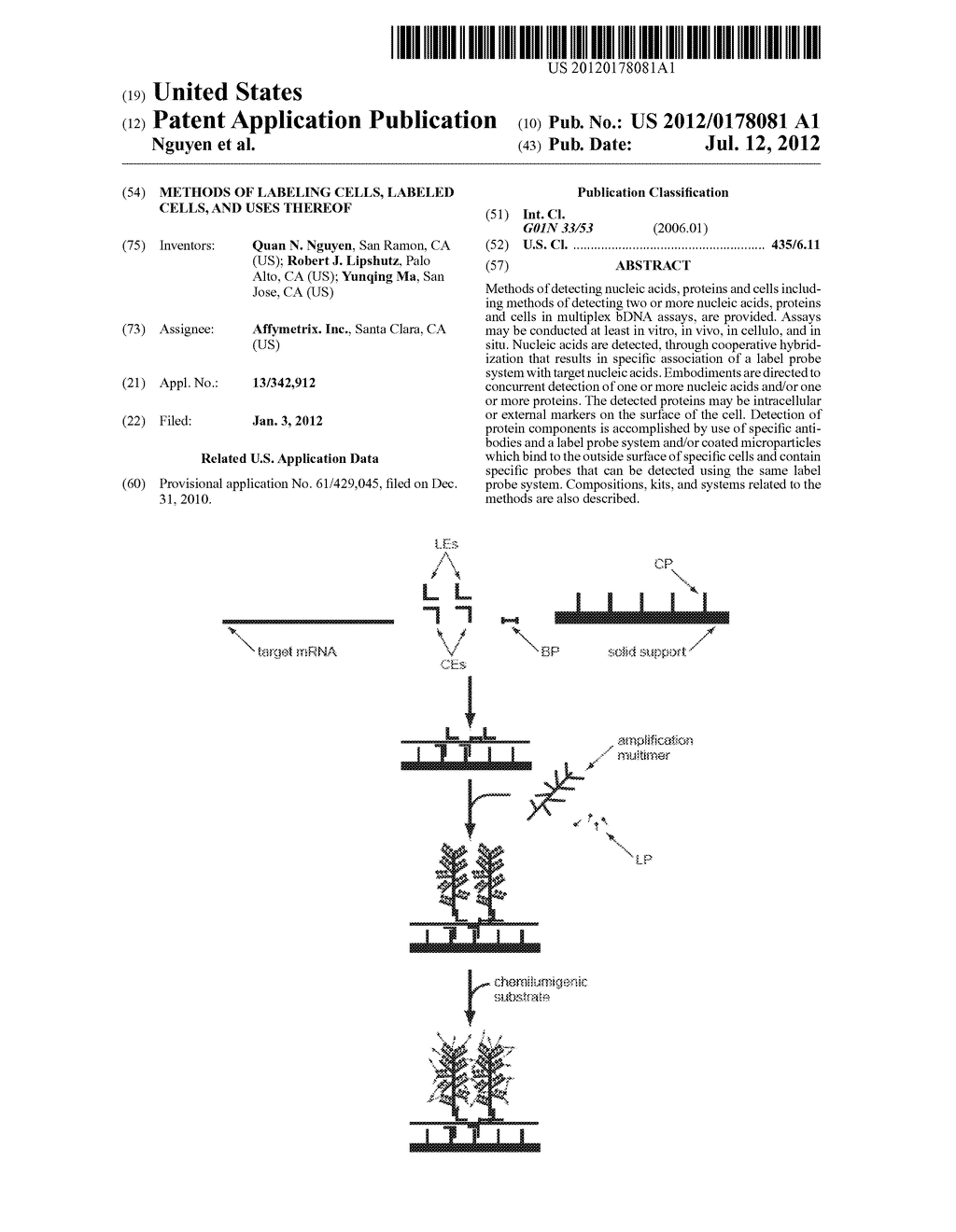 Methods of Labeling Cells, Labeled Cells, and uses Thereof - diagram, schematic, and image 01