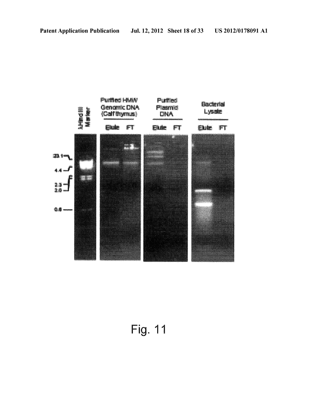 Assay Cartridges and Methods of Using the Same - diagram, schematic, and image 19