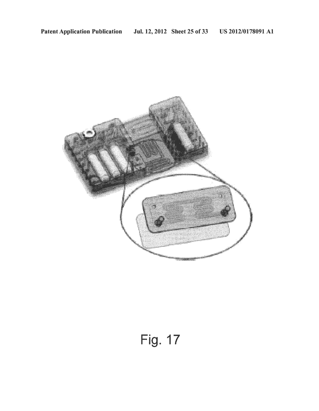 Assay Cartridges and Methods of Using the Same - diagram, schematic, and image 26