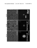 METHODS AND DESIGN OF MEMBRANE FILTERS diagram and image