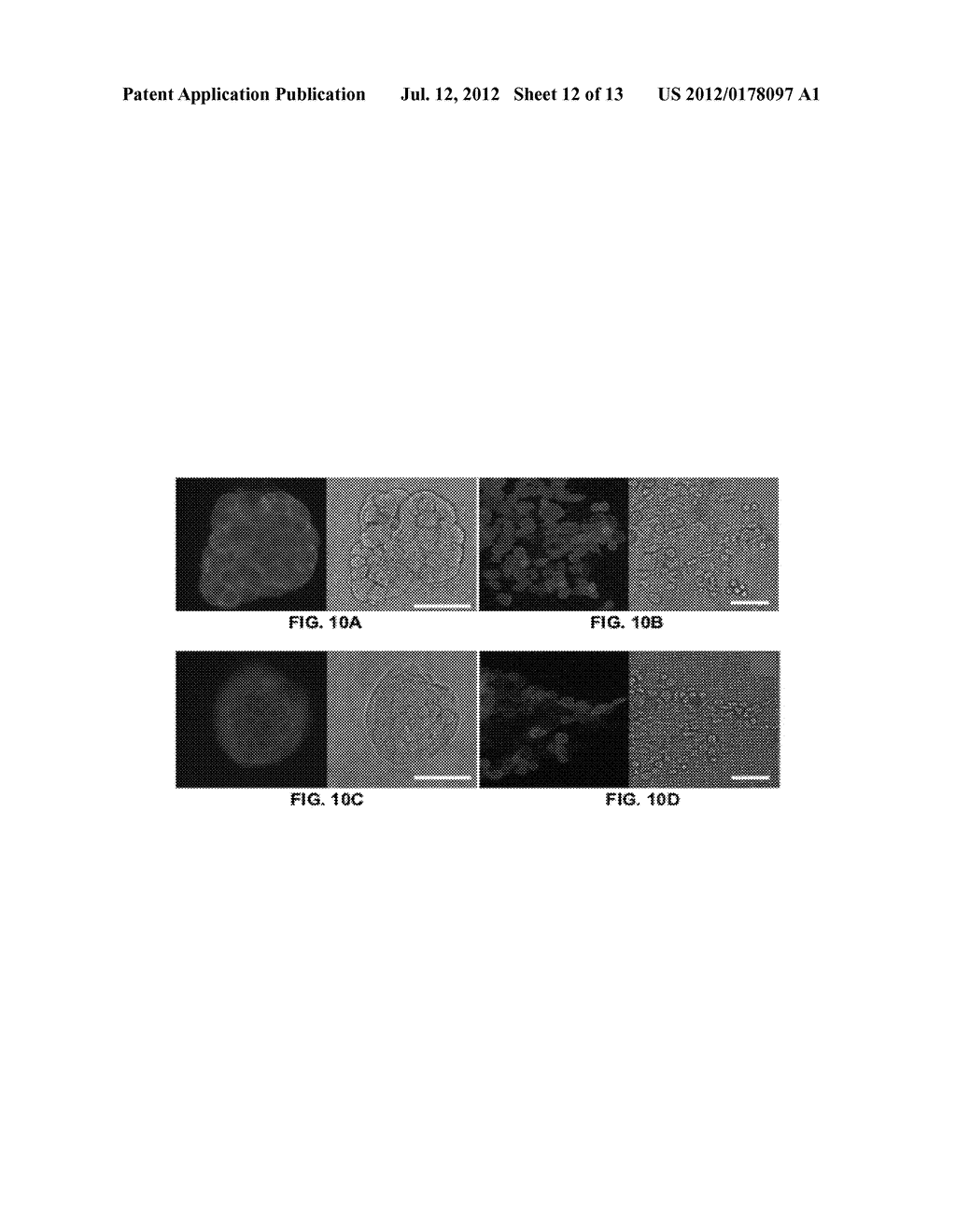 METHODS AND DESIGN OF MEMBRANE FILTERS - diagram, schematic, and image 13