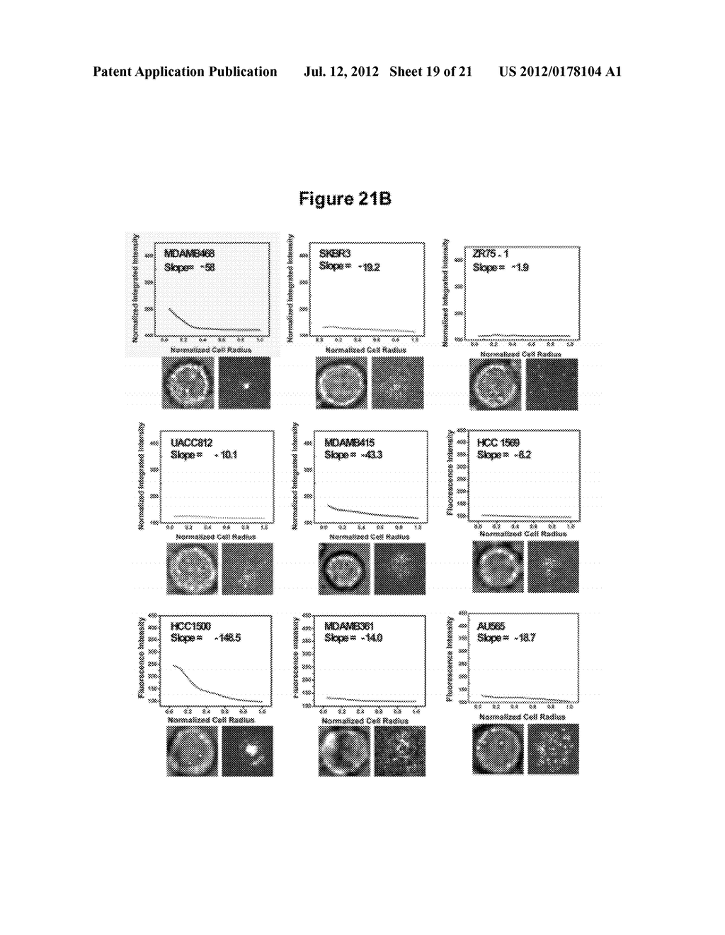 Spatial Biomarker of Disease and Detection of Spatial Organization of     Cellular Receptors - diagram, schematic, and image 20