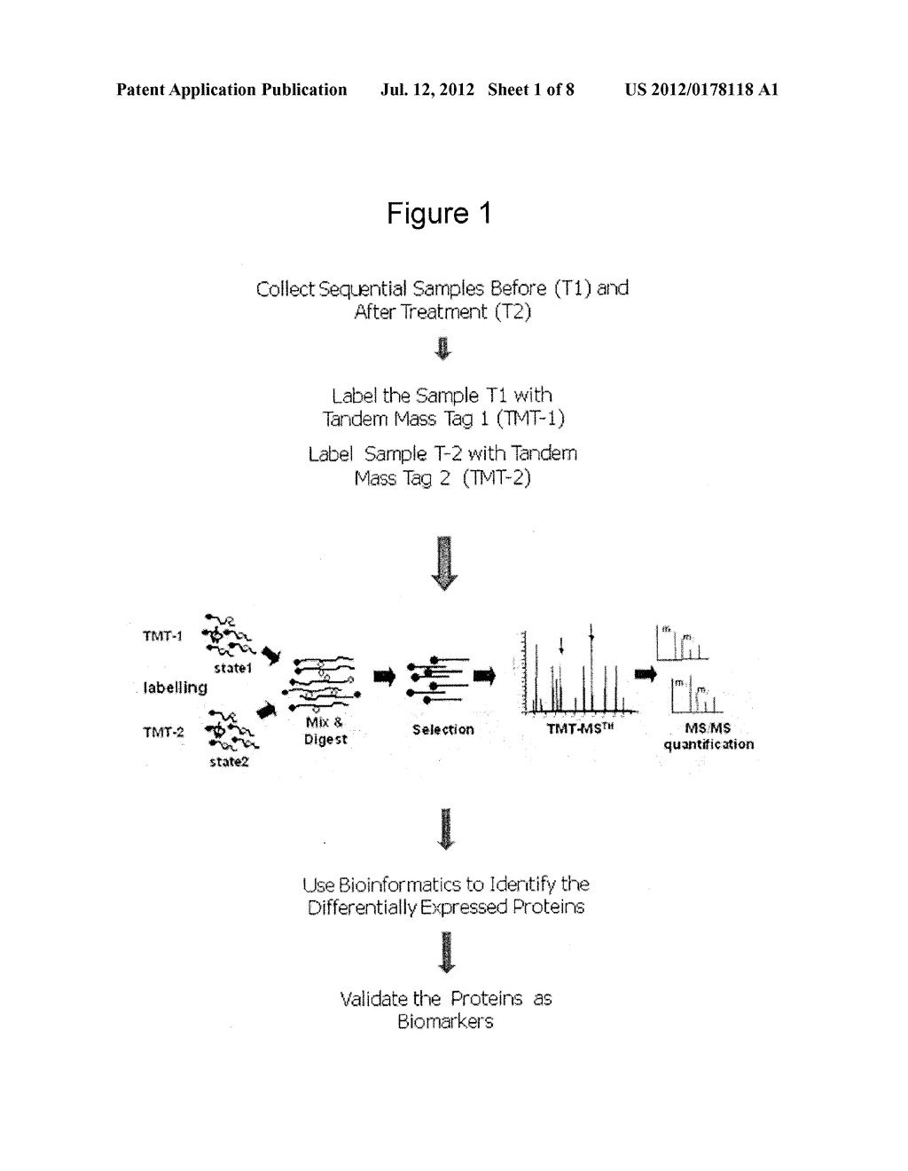BIOMARKERS FOR MONITORING TREATMENT OF NEUROPSYCHIATRIC DISEASES - diagram, schematic, and image 02