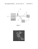 CELL-MEDIATED SILICA SOL-GEL ENCAPSULATION OF LIVING CELLS AND TISSUES diagram and image