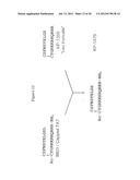 MODIFICATIONS OF PEPTIDE COMPOSITIONS TO INCREASE STABILITY AND DELIVERY     EFFICIENCY diagram and image