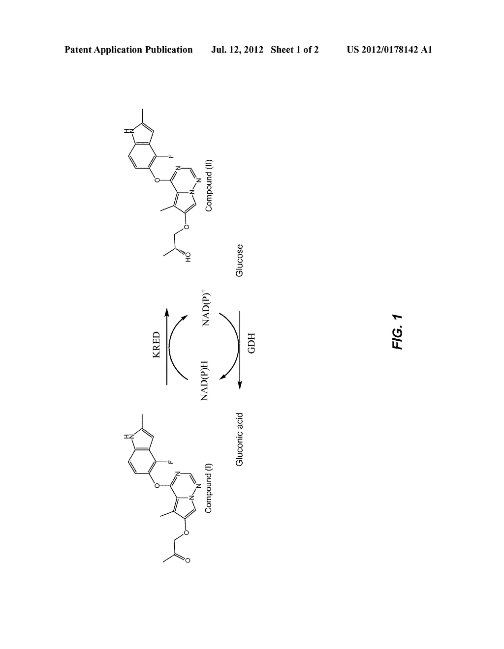 Ketoreductases and Uses Thereof - diagram, schematic, and image 02