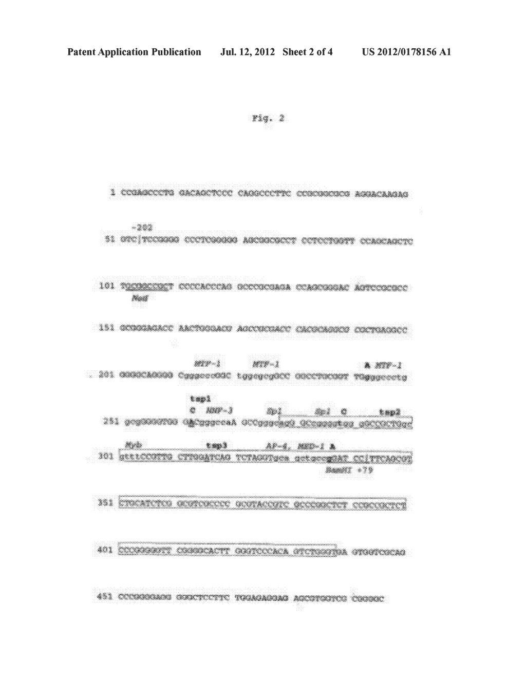 GENETIC VARIANT OF THE ANNEXIN A5 GENE - diagram, schematic, and image 03