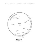 RECOMBINANT POXVIRUS EXPRESSING HOMOLOGOUS GENES INSERTED INTO THE     POXVIRAL GENOME diagram and image