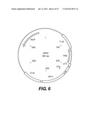 RECOMBINANT POXVIRUS EXPRESSING HOMOLOGOUS GENES INSERTED INTO THE     POXVIRAL GENOME diagram and image