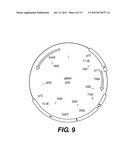 RECOMBINANT POXVIRUS EXPRESSING HOMOLOGOUS GENES INSERTED INTO THE     POXVIRAL GENOME diagram and image