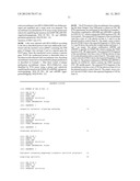 RECOMBINANT POXVIRUS EXPRESSING HOMOLOGOUS GENES INSERTED INTO THE     POXVIRAL GENOME diagram and image