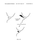 Methods for Transfecting Nucleic Acid Into Live Cells diagram and image