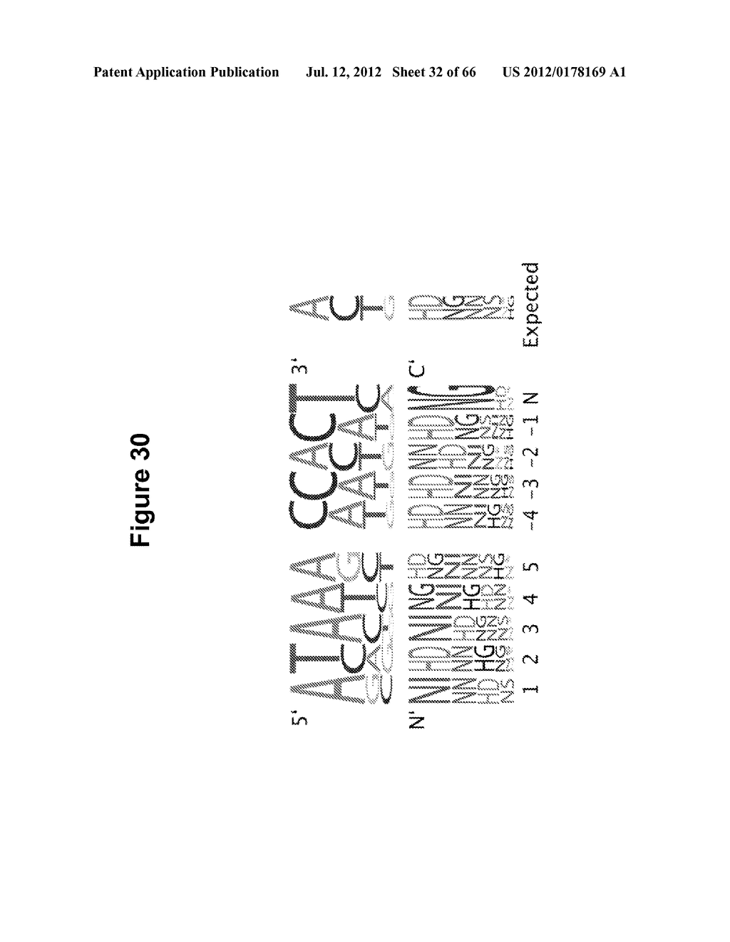 TAL EFFECTOR-MEDIATED DNA MODIFICATION - diagram, schematic, and image 33