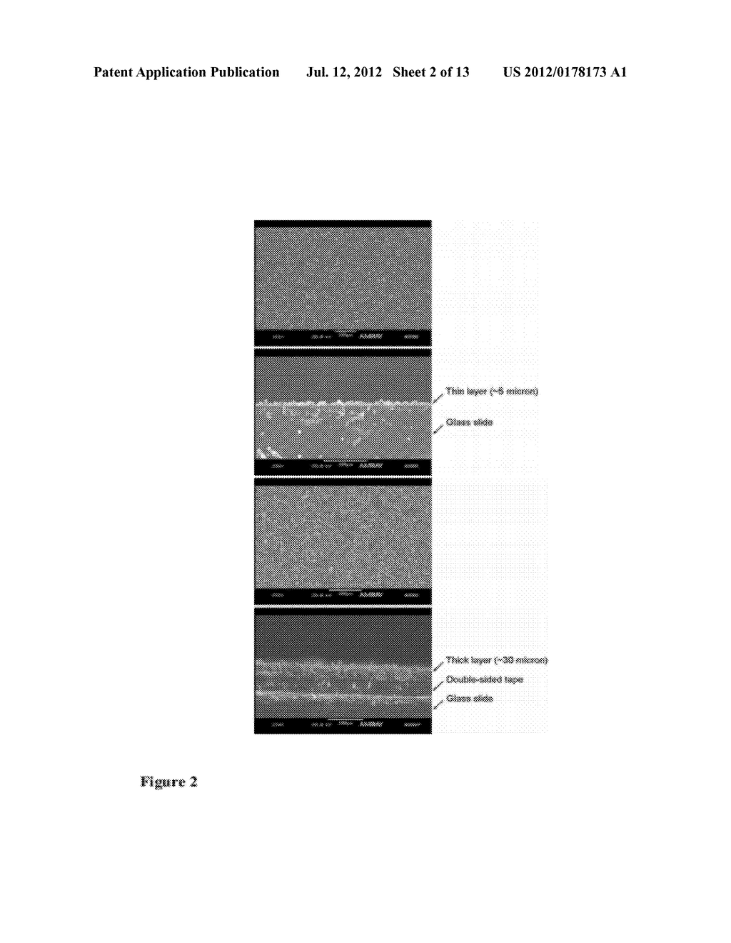 COMPOSITIONS AND METHODS FOR DETECTION OF EXPLOSIVES - diagram, schematic, and image 03