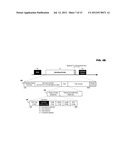 ADDITIONAL DATA USABLE IN APPARATUS POSITIONING diagram and image