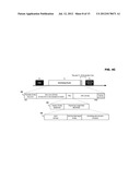 ADDITIONAL DATA USABLE IN APPARATUS POSITIONING diagram and image