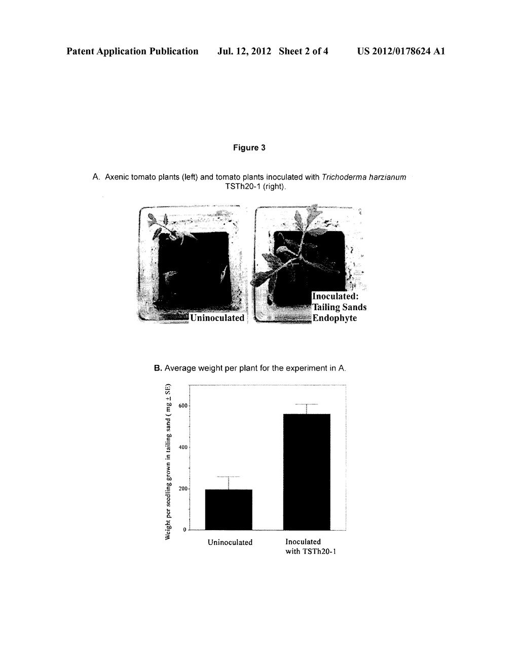 Method for Increasing Plant Growth Using the Fungus Trichoderma Harzianum - diagram, schematic, and image 03