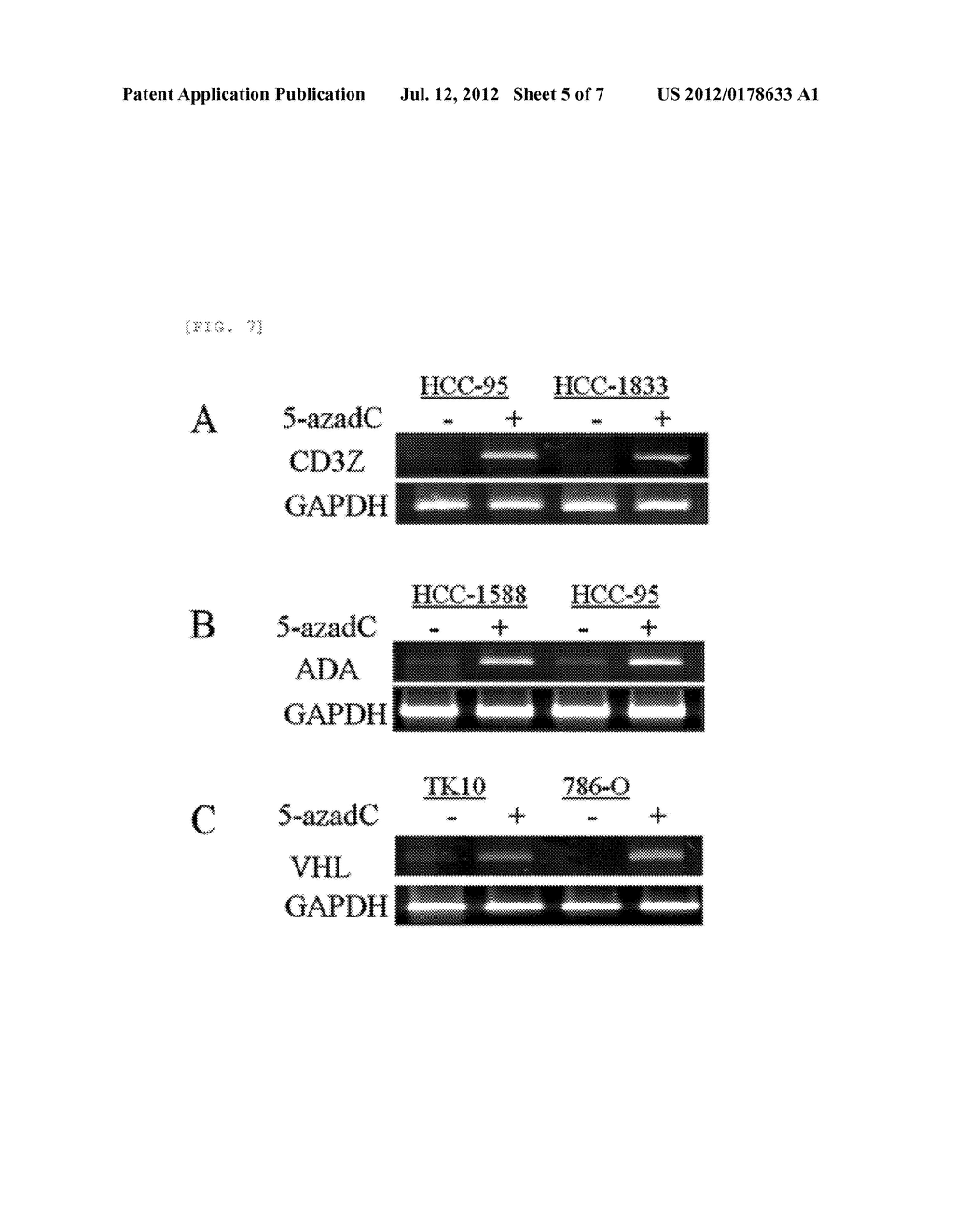 DIAGNOSTIC COMPOSITION FOR AUTOIMMUNE DISEASES COMPRISING AGENT MEASURING     CD3Z GENE METHYLATION LEVEL AND A METHOD FOR DIAGNOSING AUTOIMMUNE     DISEASES USING THE SAME - diagram, schematic, and image 06