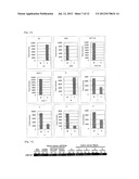 METHOD FOR DETERMINATION OF PRESENCE OF CANCER CELL, AND METHOD FOR     DETERMINATION OF PROGNOSIS OF CANCER PATIENT diagram and image