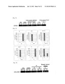 METHOD FOR DETERMINATION OF PRESENCE OF CANCER CELL, AND METHOD FOR     DETERMINATION OF PROGNOSIS OF CANCER PATIENT diagram and image