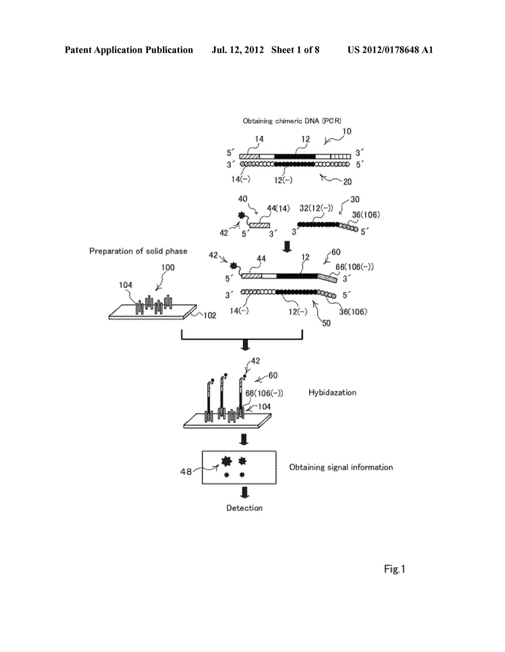 METHOD FOR DETECTION OF TARGET NUCLEIC ACID - diagram, schematic, and image 02