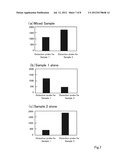 METHOD FOR DETECTION OF TARGET NUCLEIC ACID diagram and image