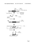 METHOD FOR DETECTION OF TARGET NUCLEIC ACID diagram and image