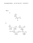 SOFT PROTEASE INHIBITORS, AND PRO-SOFT FORMS THEREOF diagram and image