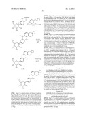 GLYCOSIDE DERIVATIVES AND USES THEREOF diagram and image