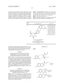 GLYCOSIDE DERIVATIVES AND USES THEREOF diagram and image