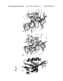 Compositions and methods for the inhibition of dishevelled proteins diagram and image