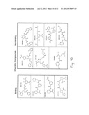 Compositions and methods for the inhibition of dishevelled proteins diagram and image