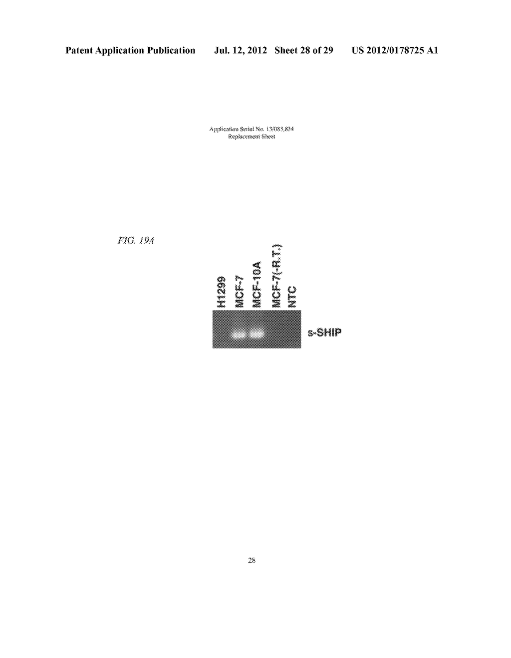 METHOD OF MODULATING SHIP ACTIVITY - diagram, schematic, and image 29