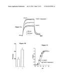 DERIVATIVES OF N-PHENYLANTHRANILIC ACID AND 2-BENZIMIDAZOLONE AS POTASSIUM     CHANNEL AND/OR NEURON ACTIVITY MODULATORS diagram and image