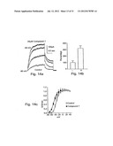 DERIVATIVES OF N-PHENYLANTHRANILIC ACID AND 2-BENZIMIDAZOLONE AS POTASSIUM     CHANNEL AND/OR NEURON ACTIVITY MODULATORS diagram and image