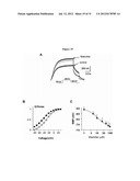 DERIVATIVES OF N-PHENYLANTHRANILIC ACID AND 2-BENZIMIDAZOLONE AS POTASSIUM     CHANNEL AND/OR NEURON ACTIVITY MODULATORS diagram and image